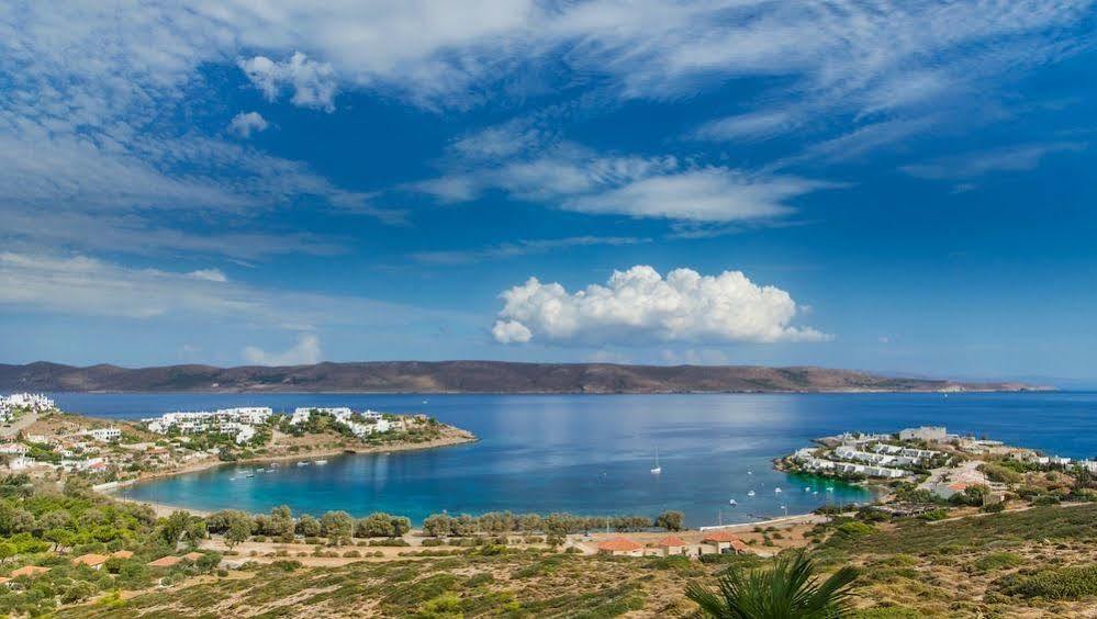Sounio Villa Le Pirée Extérieur photo